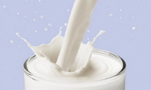 كيف تعرف الحليب المغشوش 
