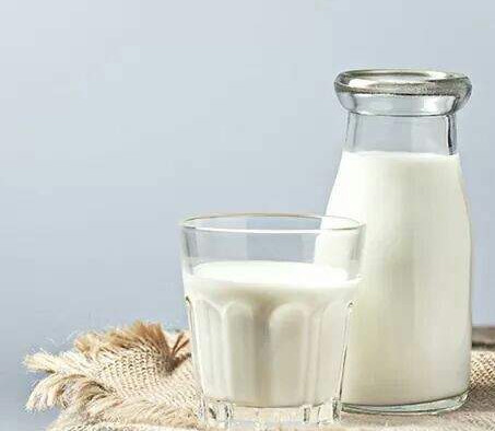 فوائد الحليب ومشتقاته للجسم