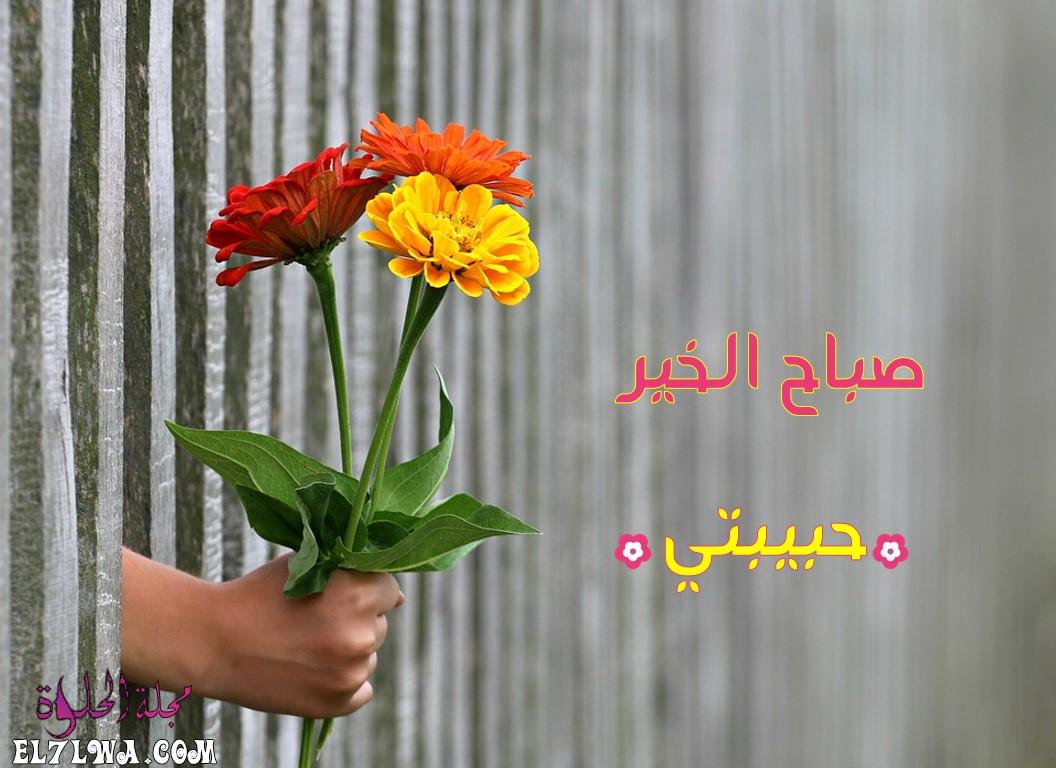 صباح الخير حبيبتي