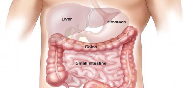 أعراض القولون الهضمي علاج القولون الهضمي