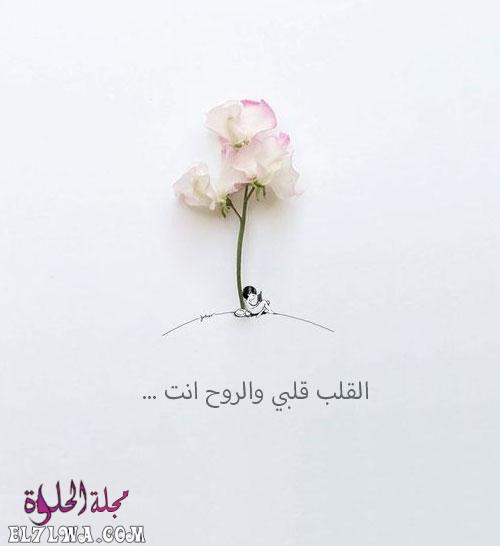 رسائل حب للزوج صور حب للزوج صور رسائل شوق للزوج ساخنة رسائل حب للزوج جريئه جدا