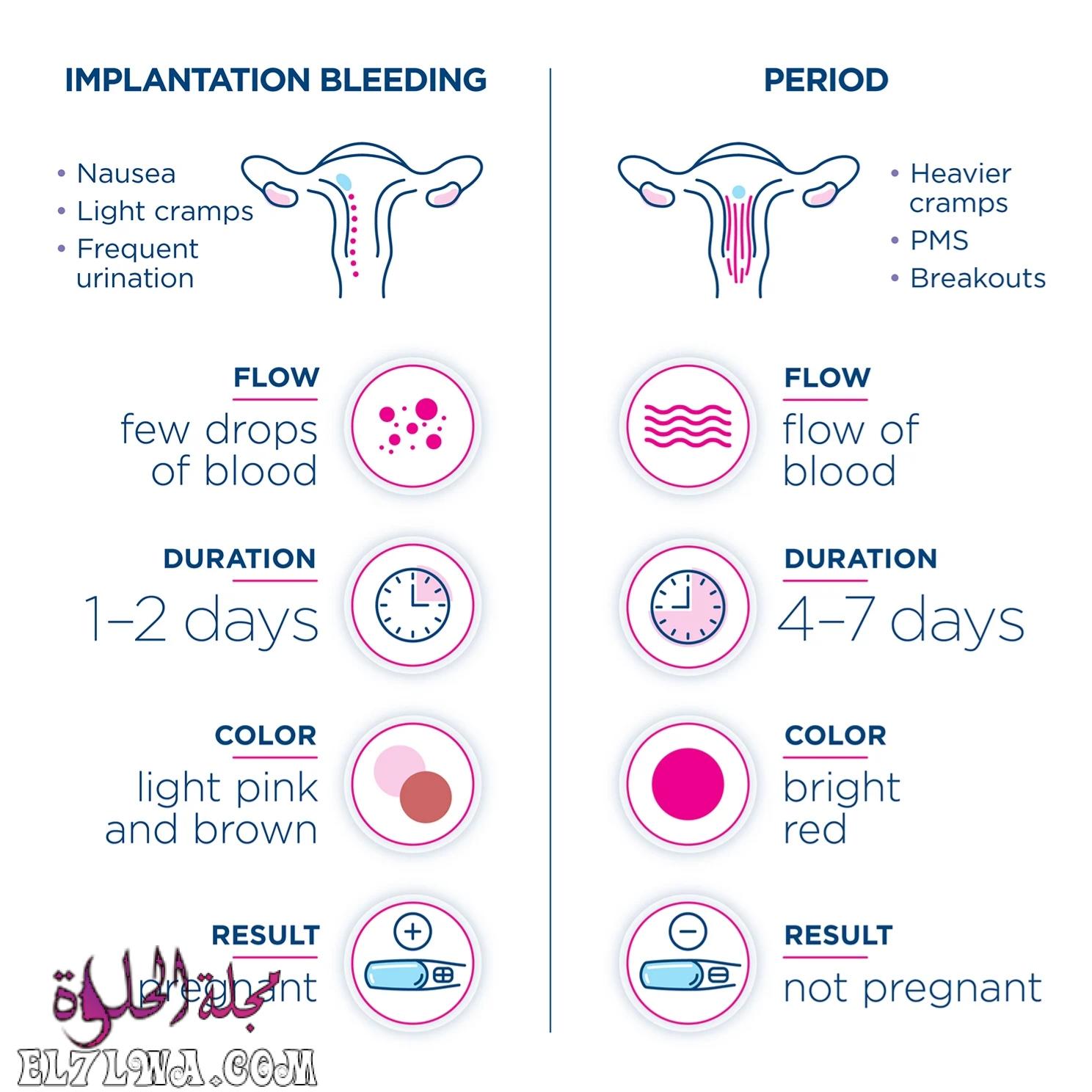ما الفرق بين دم الدورة الشهرية ودم الحمل