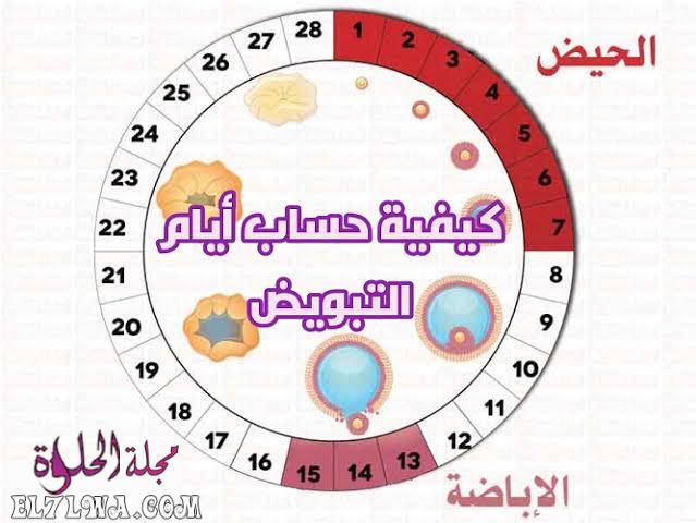 جدول ايام التبويض بعد الدورة مجلة الحلوة