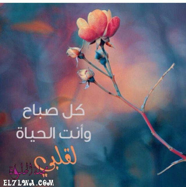 صور صباح الحب صور صباحية