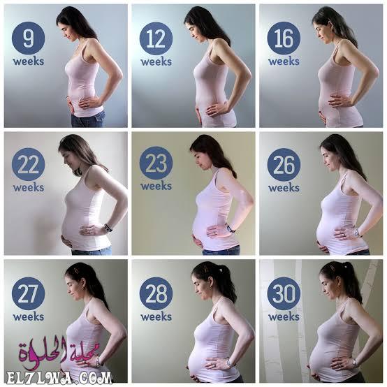 شكل بطن الحامل بولد في الشهر الخامس بالصور