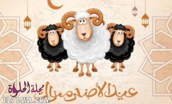 صور خروف العيد عيد الأضحى 2021 تهنئة عيد الأضحى صور عيد الأضحى