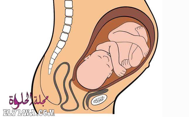 طريقة لرفع الجنين من الحوض في الشهر السابع