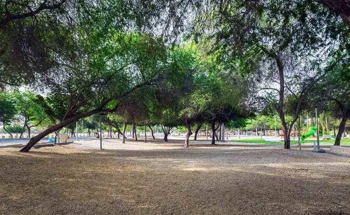 " متنزه الدفي في مدينة الجبيل" بقعة رائعة للاستمتاع مع العائلة والاصدقاء