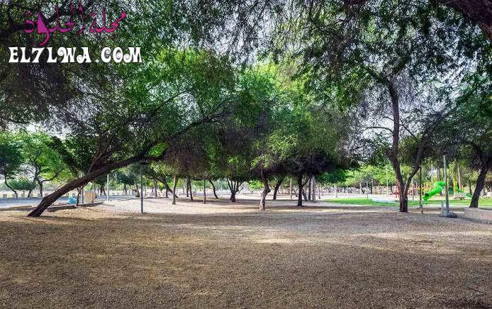 " متنزه الدفي في مدينة الجبيل" بقعة رائعة للاستمتاع مع العائلة والاصدقاء