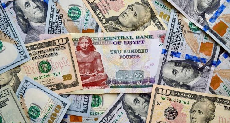 سعر الدولار في جميع البنوك لحظة بلحظة .. الدولار يسجل 29.7 بالبنك المركزي والدينار يتخطى الـ 100
