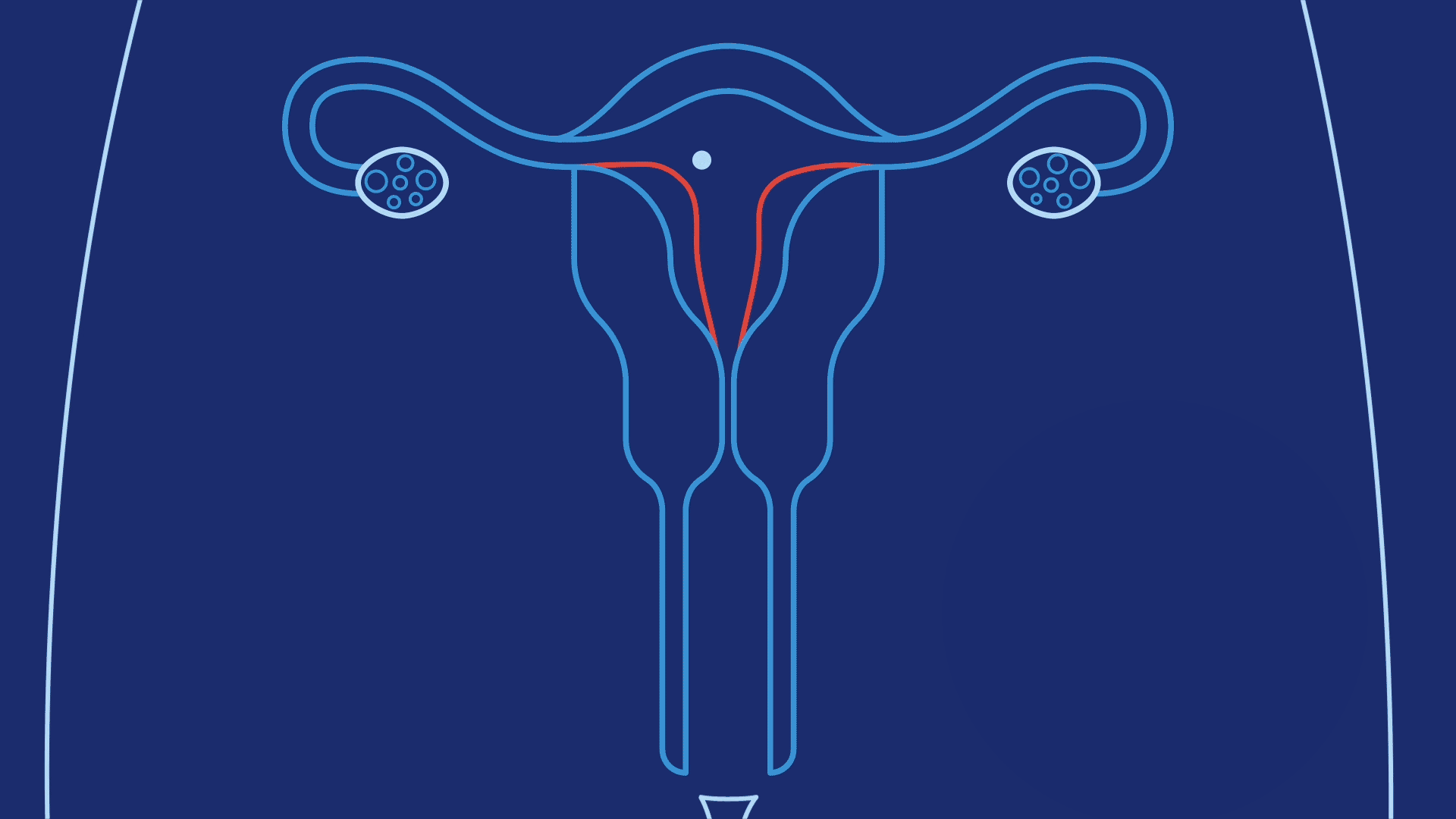 عملية الزرع داخل جدار الرحم وتكوين كيس الحمل