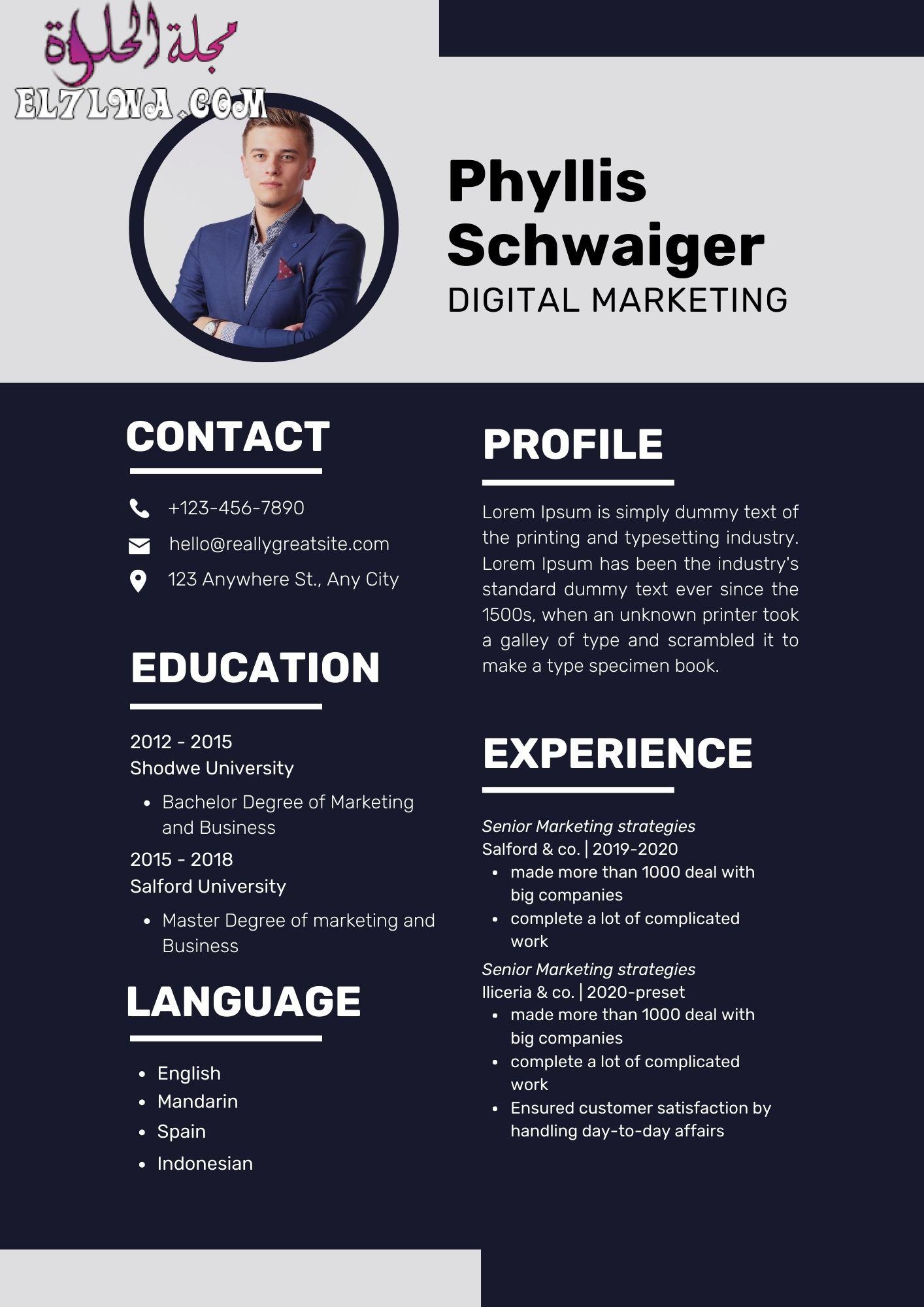 Grey Dark Blue Resume