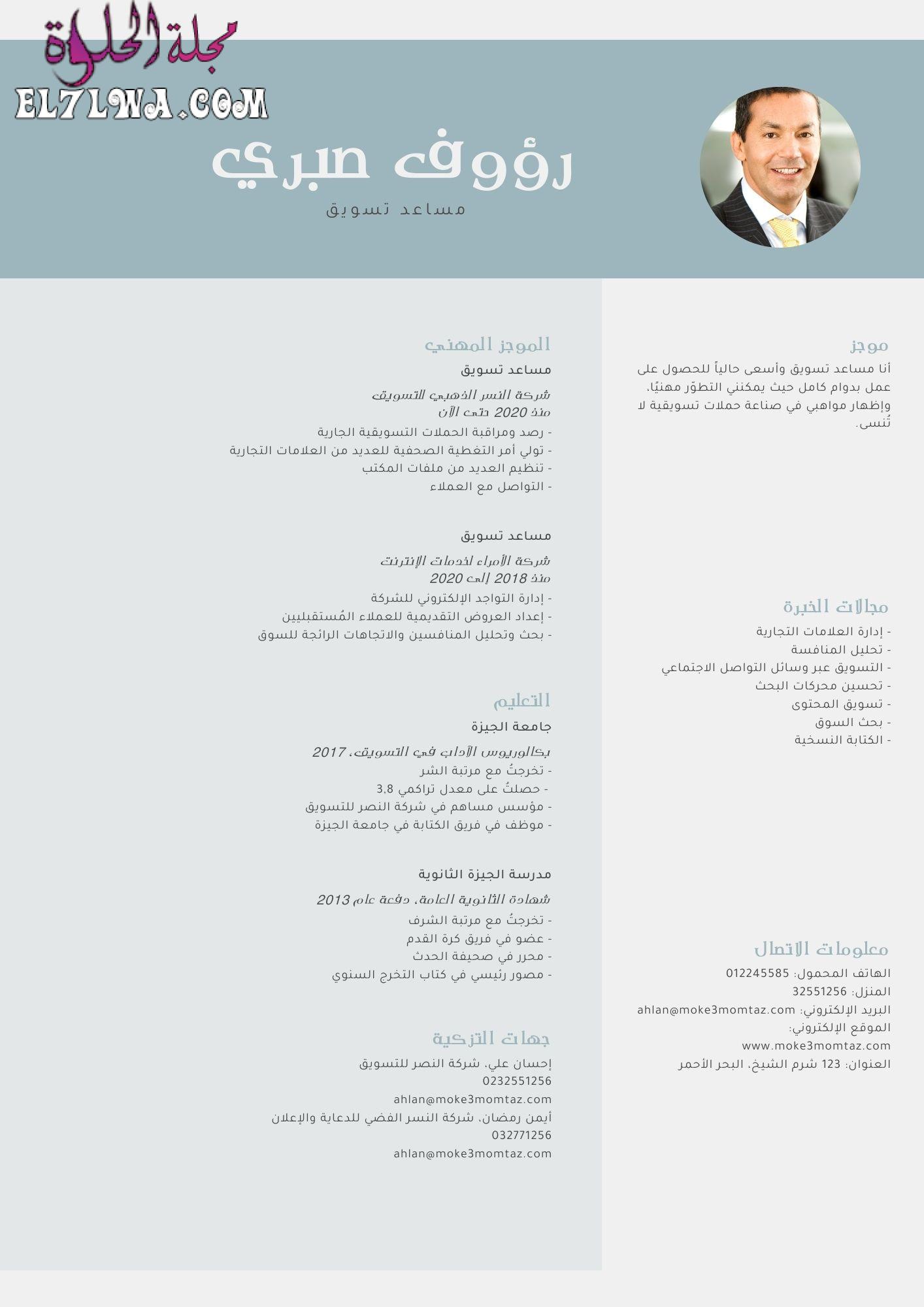 سيرة ذاتية رمادي عصري مهني