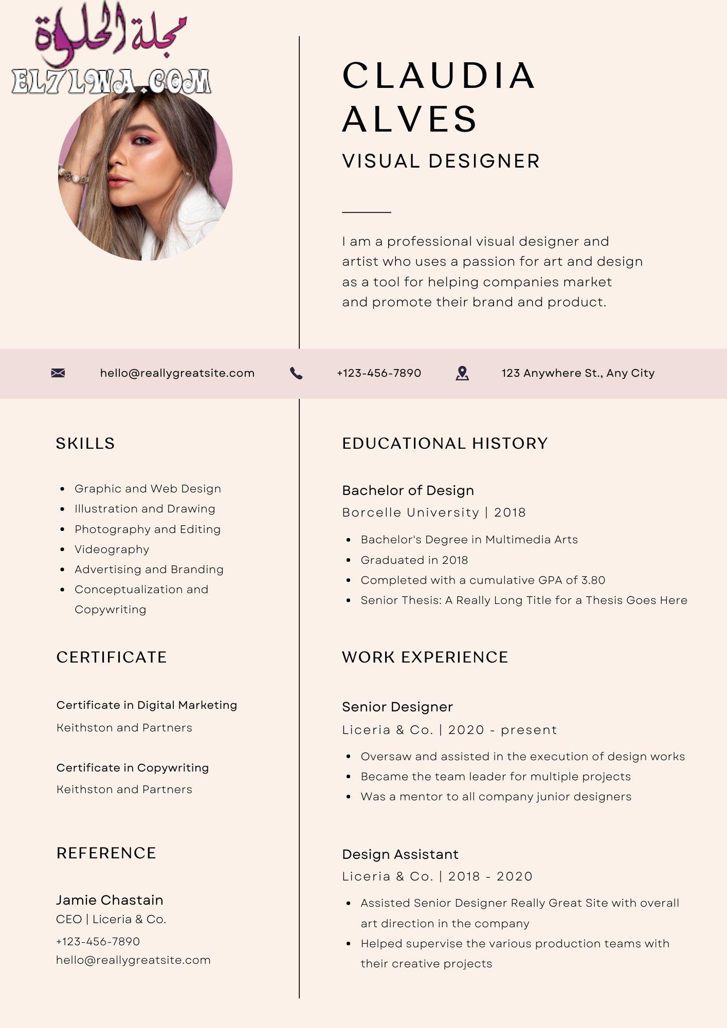 Aesthetic Professional Resume Graphic Designer