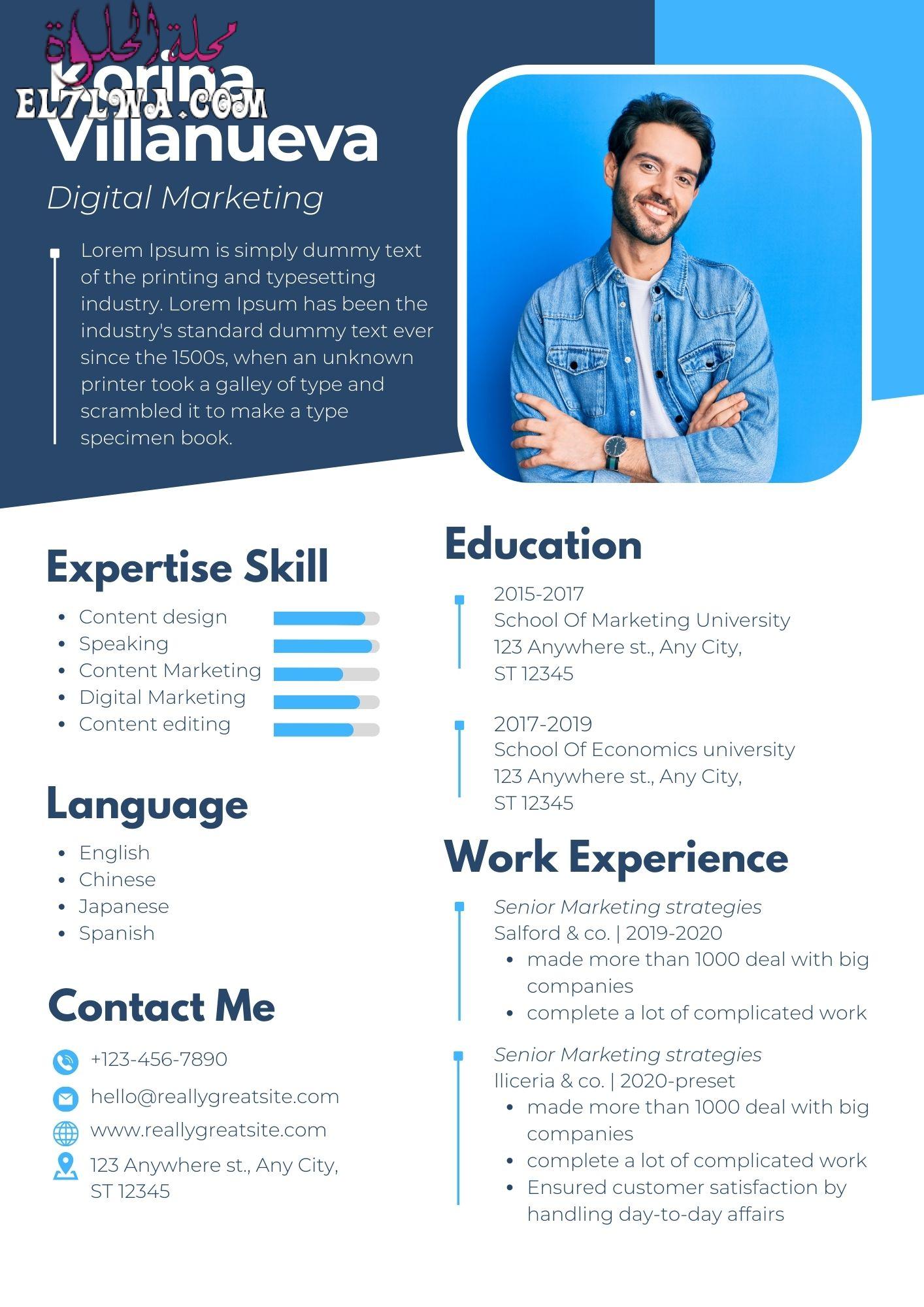 Professional CV Resume