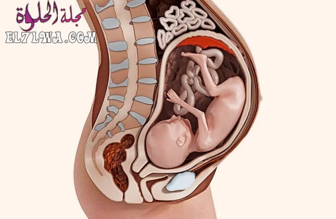 علامات نزول رأس الجنين في الشهر السابع