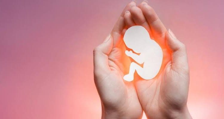 شكل الجنين في الشهر الاول بعد الاجهاض