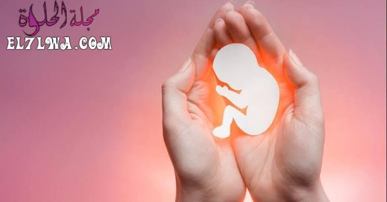 شكل الجنين في الشهر الاول بعد الاجهاض